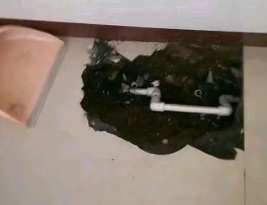 敦煌卫生间测漏水多少钱